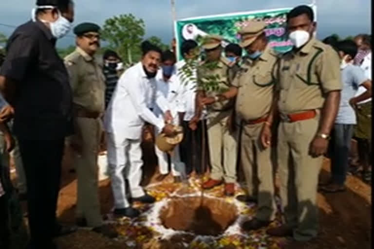 MLA Mekapati   chandrashekhar reddy planted plants in Udayagiri