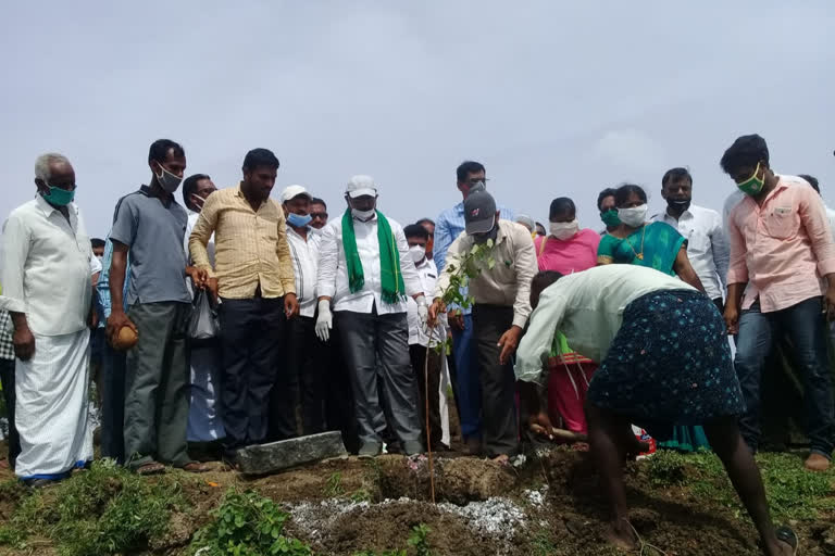 jagananna pachatoranam is inaugrated in prakasam