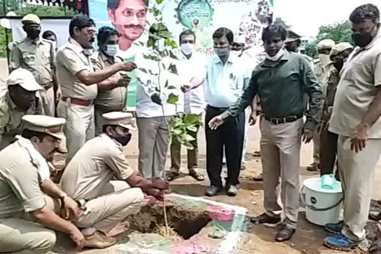 jagananna pacchatoranam programme in nandyala