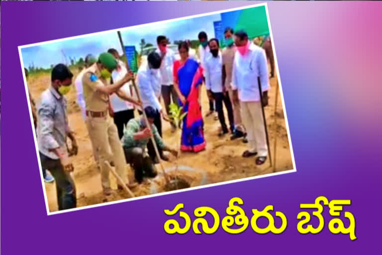 Minister Sabita Indrareddy inquired about the plants planted in vikarabad district