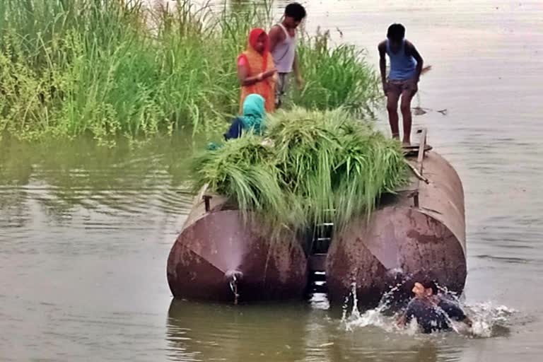 सीतामढ़ी