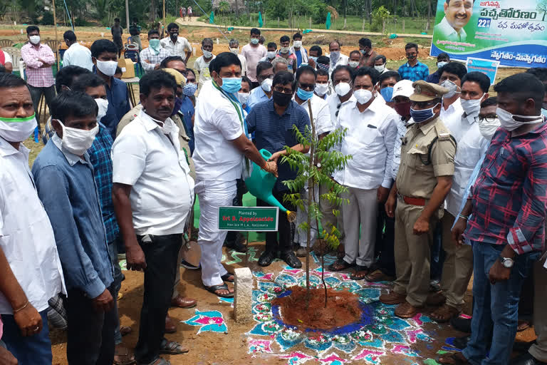 target is to cultivate one lakh plants in Nellimarla constituency