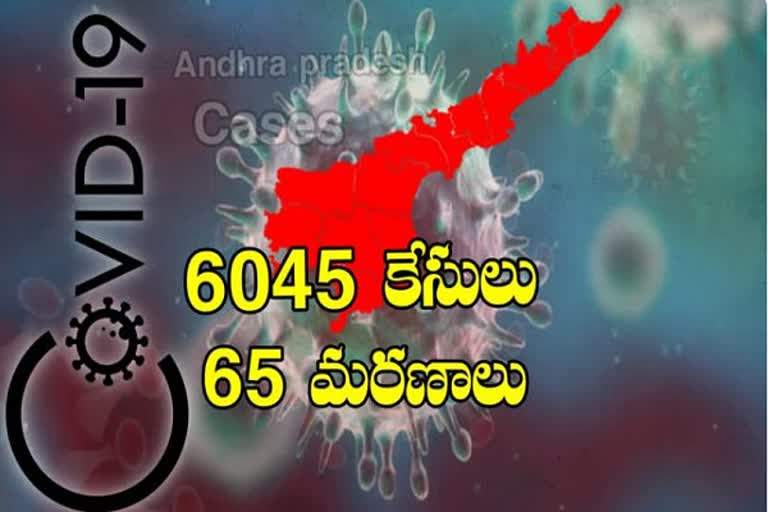 6,045 new corona cases has reported in andrapradesh today