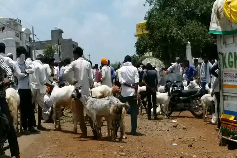 Animal Haat in Idgah Ground of Agar