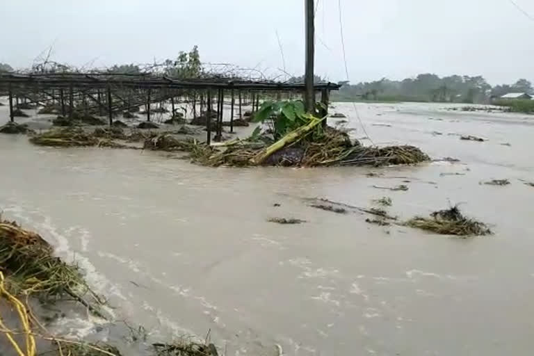 জোনাইত পুনৰ বৃদ্ধি পাইছে চিয়াং নদীৰ জলপৃষ্ঠ