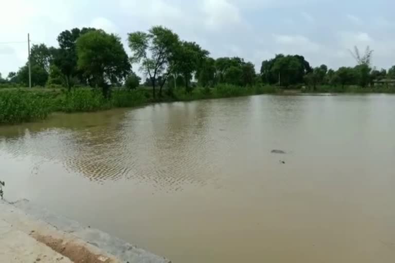 an-elderly-person-died-due-to-drowning-in-surajpur-pond