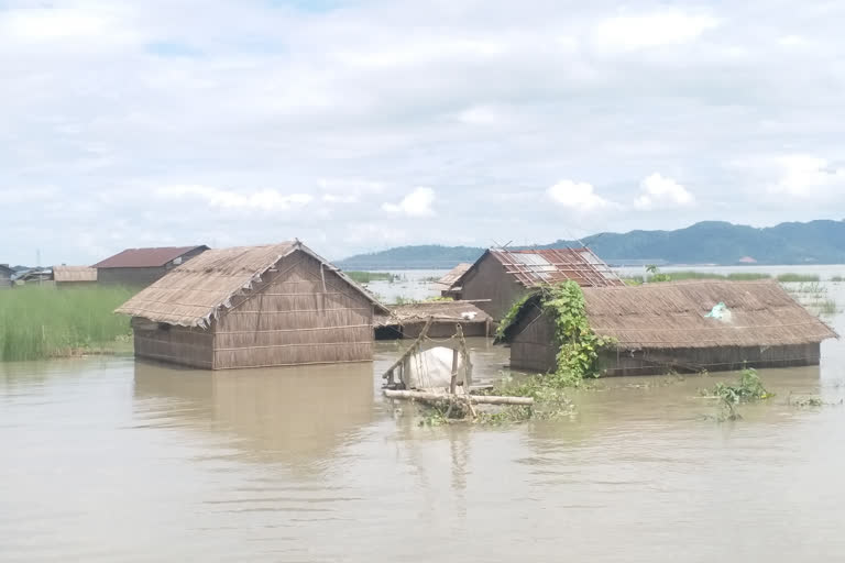 88 people lost their lives in Assam flood  26 districts hit by flood in Assam  overflow of Brahmaputra  391 relief camps  അസം പ്രളയം  അസം പ്രളയത്തിൽ മരണം 88 ആയി  ബ്രഹ്മപുത്ര കരകവിഞ്ഞൊഴുകുന്നു  26,31,343 പേരാണ് പ്രളയത്തെ തുടർന്ന് ദുരിതത്തിലായത്