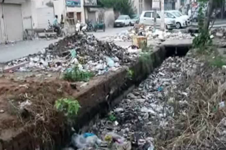 People are facing problems due to filth in Aryan Nagar and Moti Colony of Palwal