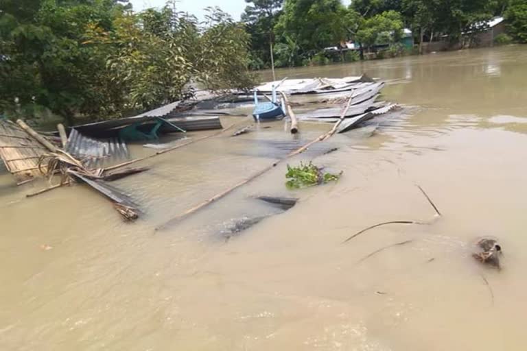 সৰু মাটি পৰ্ব্বত অঞ্চলত অব্য়াহত আছে বানৰ বিভীষিকা