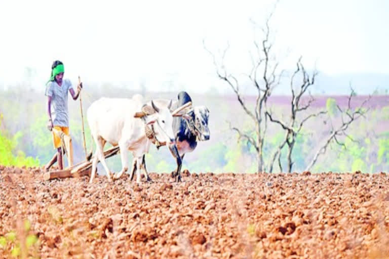 crop cultivation details registration programme  in mahabubabad district