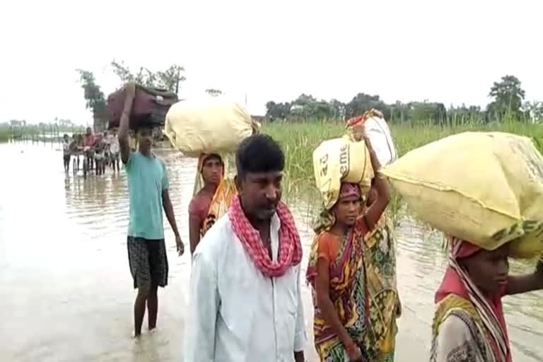 flood in many villages due to Pandai river in Bettiah