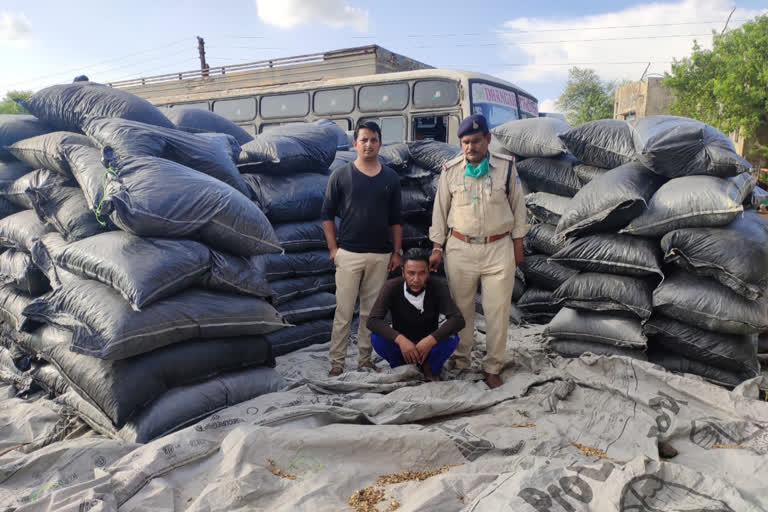 31 quintal doda sawdust seized from a truck full of wheat