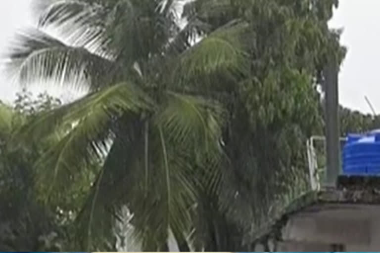 farmers doing their agricultural works due to rain in nalgonda