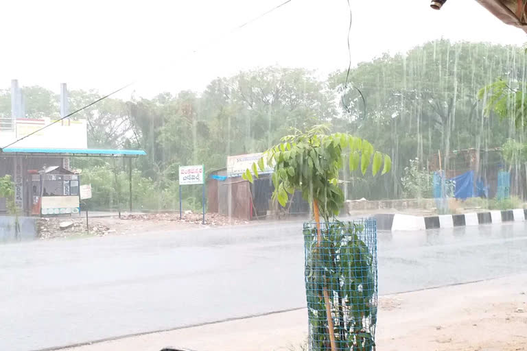 rains in joint karimnagar district