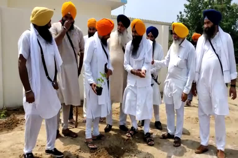 ਤਖ਼ਤ ਸ੍ਰੀ ਦਮਦਮਾ ਸਾਹਿਬ 'ਚ ਲਗਾਏ ਸੁਹਾਂਜਣੇ ਦੇ ਬੂਟੇ