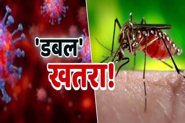 dengue