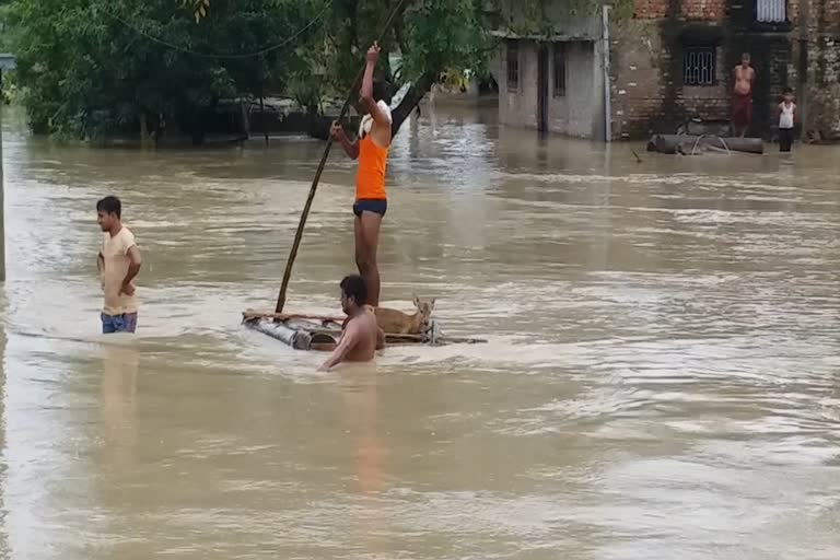 2 young man successful rescue  of 3 deer in Bettiah