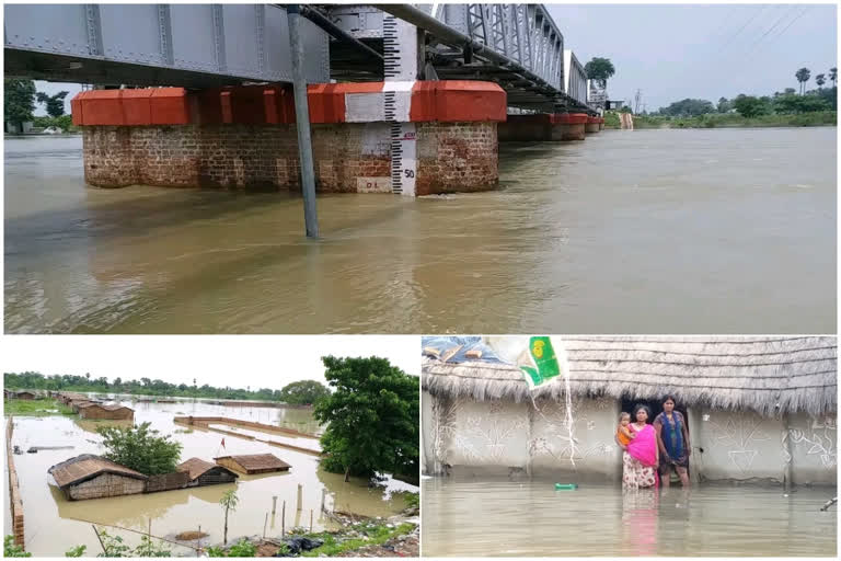 ETV Bharat at Ground Zero: No lessons from 2019 as 10 districts of Bihar engulf in flood