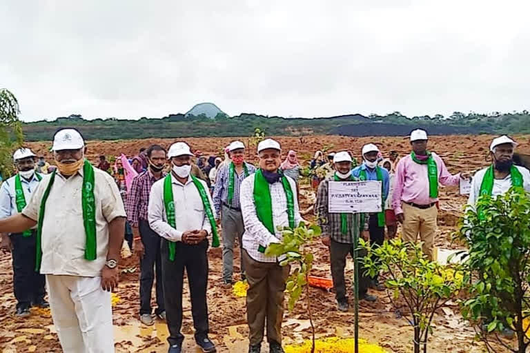 ఇల్లందు సింగరేణి ఏరియాలో వనమహోత్సవం