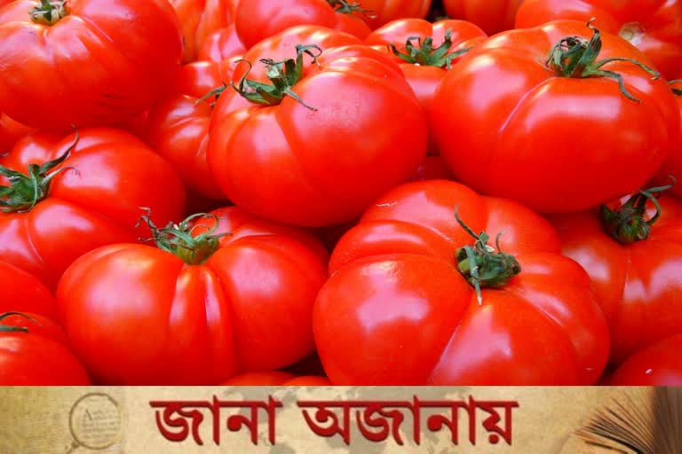 Unknown facts about Tomato