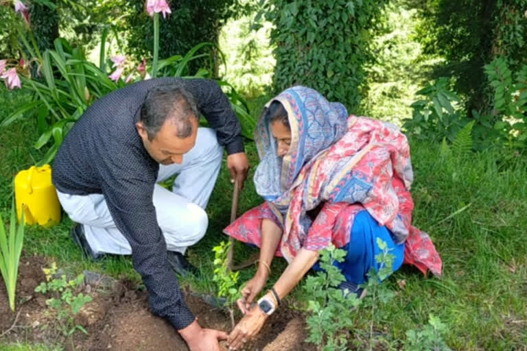 congress mla asha kumari