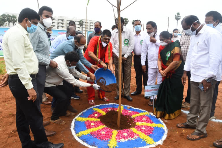 minister muthamshetty planted trees in andhra university premises