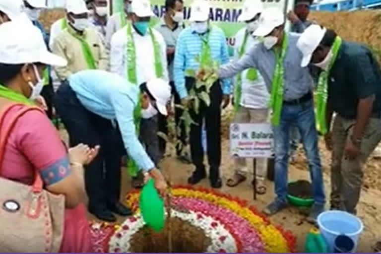 rega kanthararo planted trees in managuru