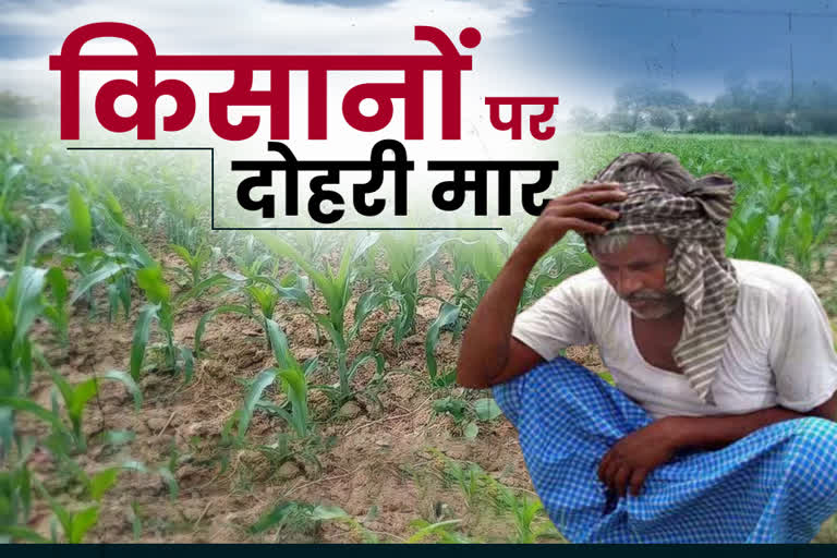 राजस्थान न्यूज, rajsamand news