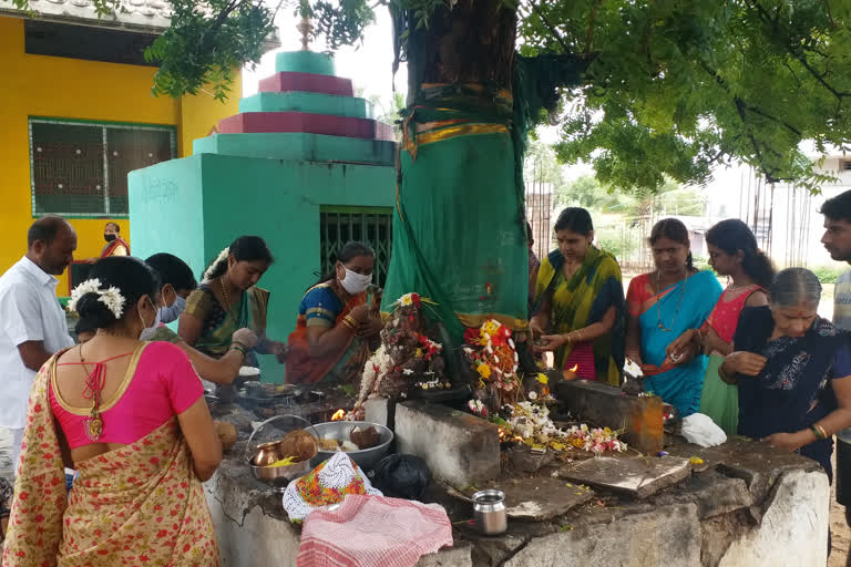 ಸರಳವಾಗಿ ನಾಗರಪಂಚಮಿ ಆಚರಣೆ