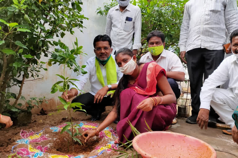 20 thousand trees planted at once to wish minister ktr happy birthday at manthani