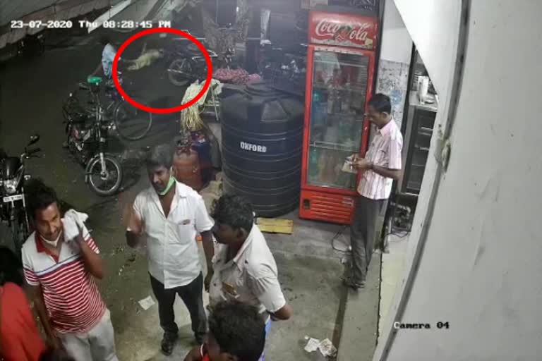 cctv footage of chain snatching from woman in erode