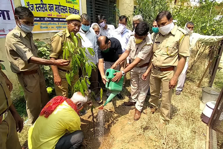 डीग में वन महोत्सव,  वन महोत्सव कार्यक्रम का आयोजन, Forest Festival in Deeg