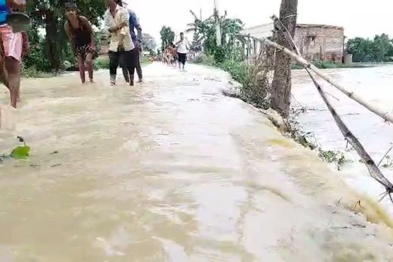 flood in darbhanga bihar