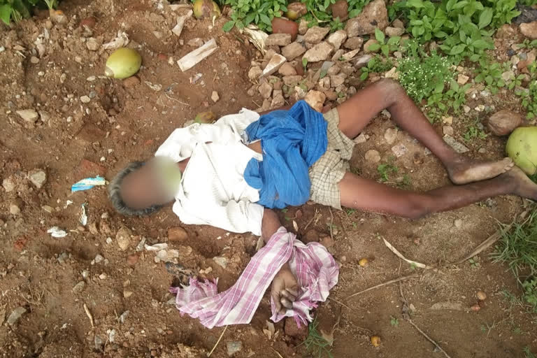 man died, man died in Tumkur, Tumkur man died, tumkur man died news, ತೆಂಗಿನ ಮರದಿಂದ ಬಿದ್ದು ವ್ಯಕ್ತಿ ಸಾವು, ತೆಂಗಿನ ಮರದಿಂದ ಅಯತಪ್ಪಿ ಬಿದ್ದು ವ್ಯಕ್ತಿ ಸಾವು, ತುಮಕೂರಿನಲ್ಲಿ ವ್ಯಕ್ತಿ ಸಾವು,