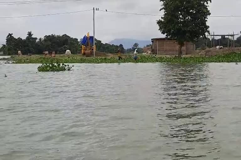 flood situation became critical in mayang