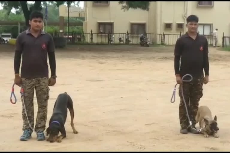 Two sniper dogs deployed with 11 member team