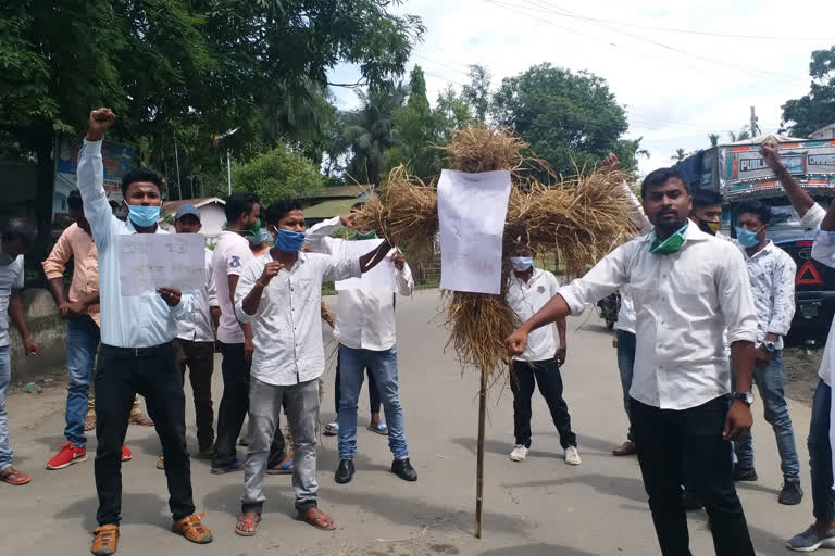 effigy-burn-of-minister-sanjay-krisan-at-golaghat