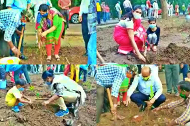 haritha haram program in warangal nit college