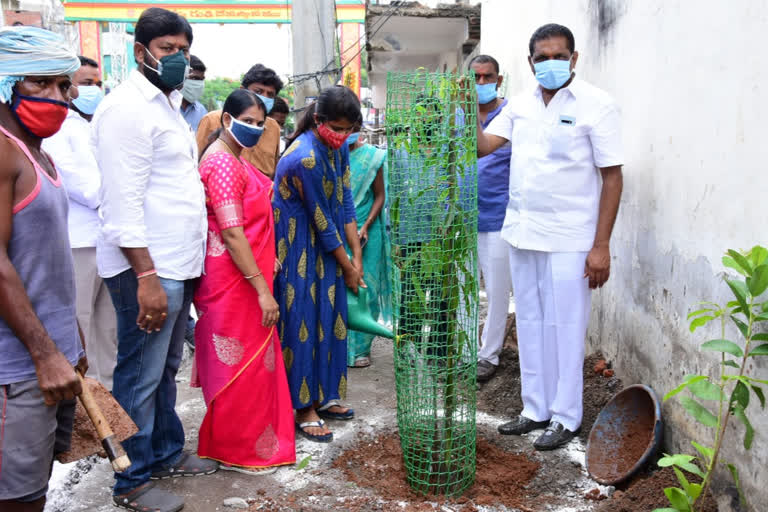 karimnagar mayor sunil rao participated harithaharam programme