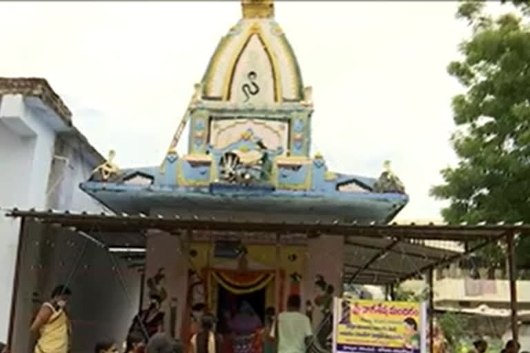 nagula panchami festival celebrations in nizamabad