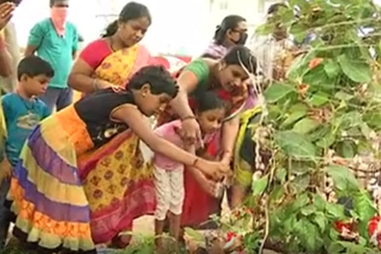 nagula panchami celebrations in nagoba temple in adilabad district