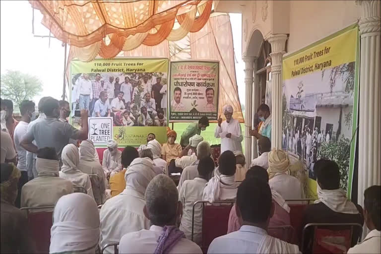 plants distributed to farmers by irrigation department in palwal