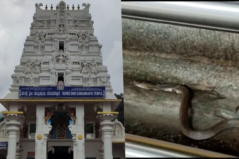 Kukke Subramanya Temple