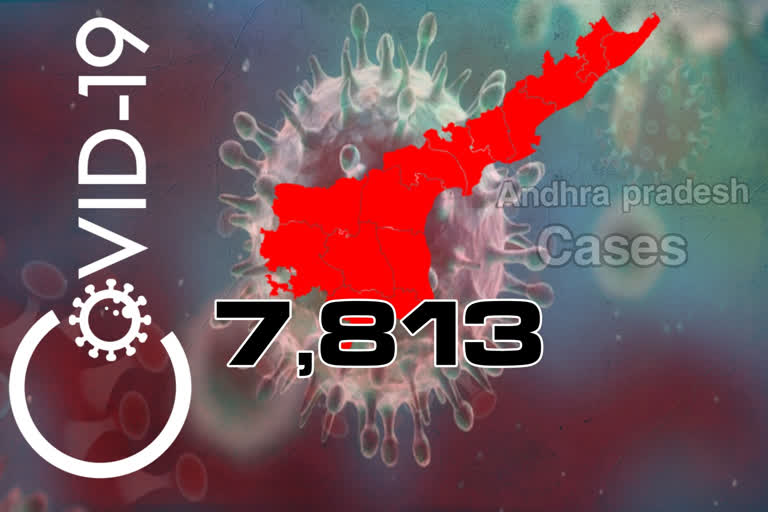 7813 new  corona cases has reported in andhrapradesh