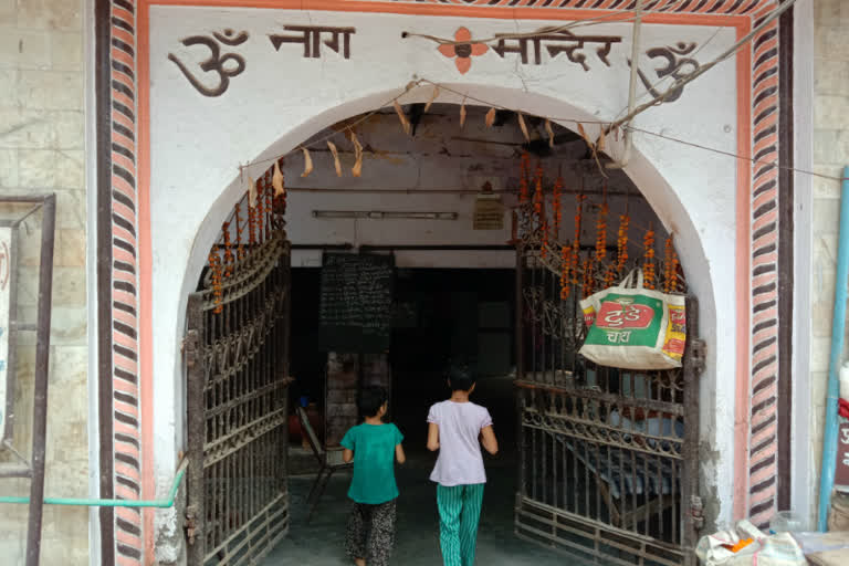 milk offering to nag devta in kiradi nag temple