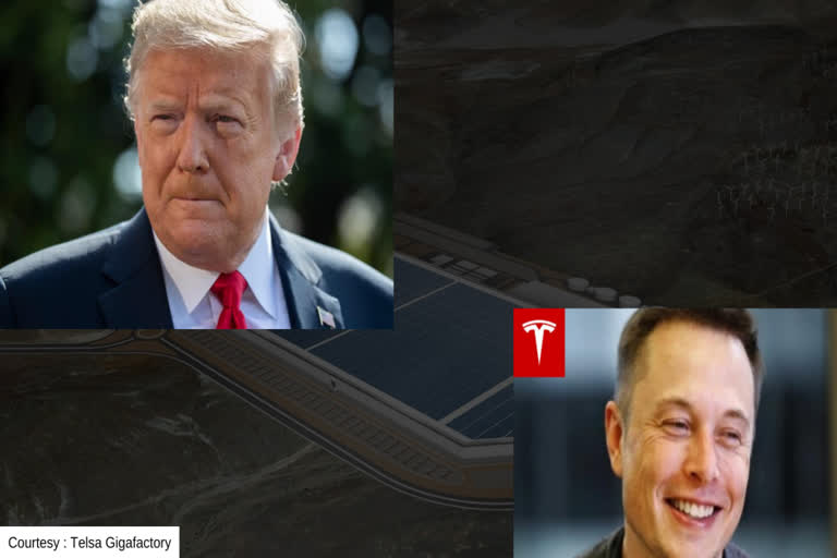 trump congratulates musk, Tesla gigafactory