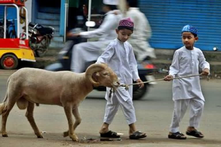 Jamaat-e-Islami Hind seeks smooth observance of Bakra Eid