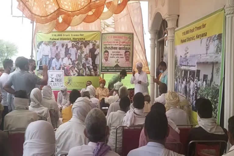 plants distributed to farmers by irrigation department in palwal