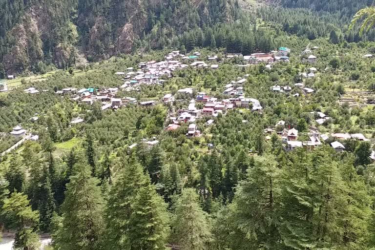 Solid compost is being prepared in Sangla