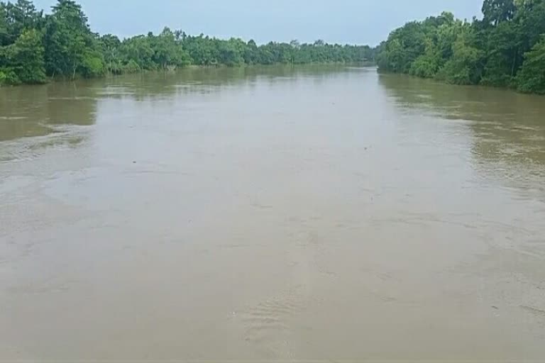 suicide attempt:a lady jumped into the kapili river